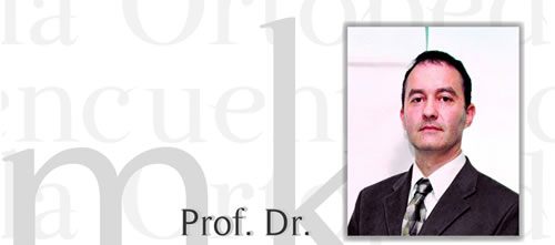 Prof. Dr. Marcelo Kreiner