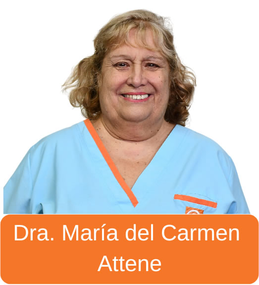 Dra. María del Carmen Attene